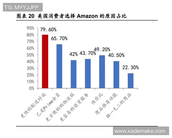 深入探讨上海排球队实力表现与数据分析的全面解读与未来展望