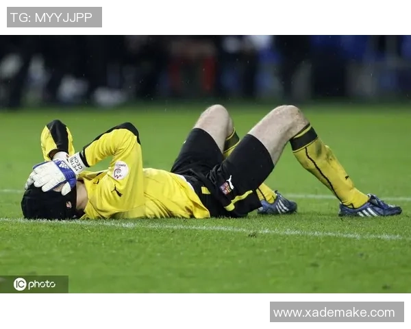 足球明星范佩琪的传奇人生与职业生涯回顾 足球明星范佩琪的传奇人生与职业生涯回顾