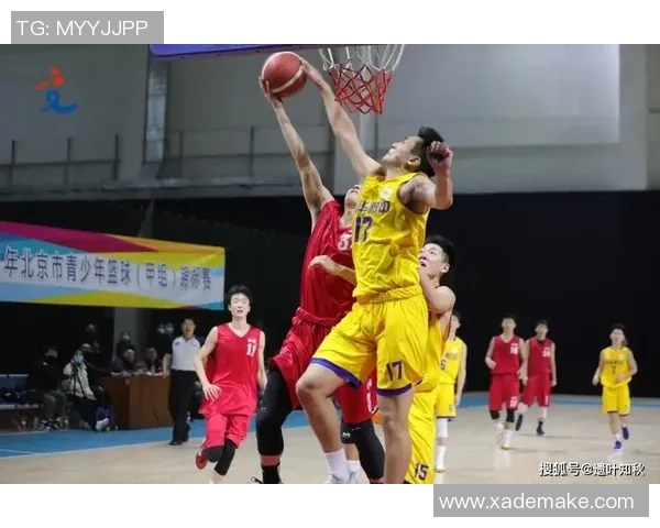 2026篮球速度排行榜：北京篮球队位居第6名