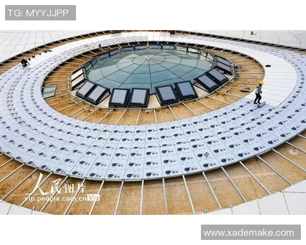 独家分析：南京极限运动队的灵活性对比