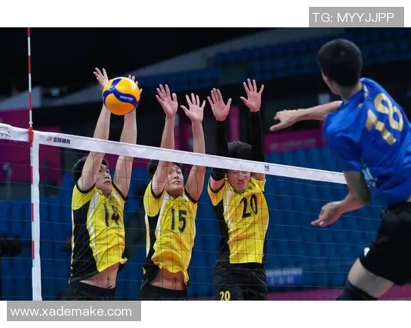 2026排球技术排行榜：上海排球队位居第4名