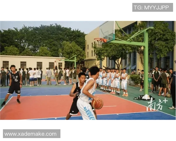 吴强独家：分享篮球心得